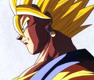 vegetto12.jpg